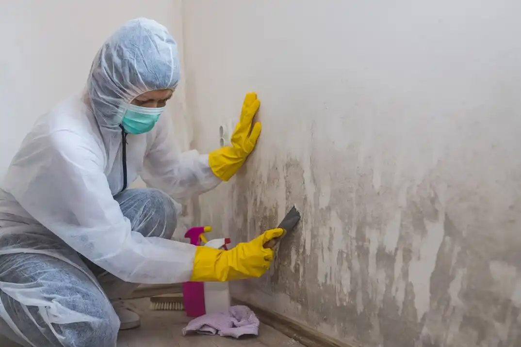 water damage restoration service Kenwood